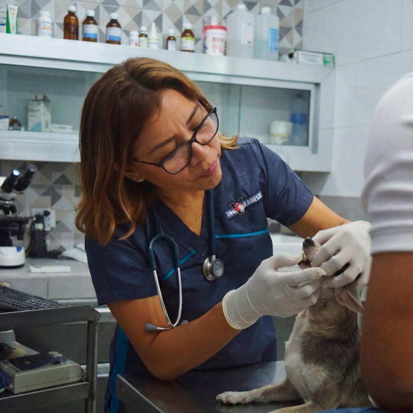 Veterinaria Zoohabitat bienvenida