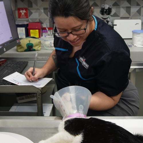 Veterinaria Zoohabitat bienvenida