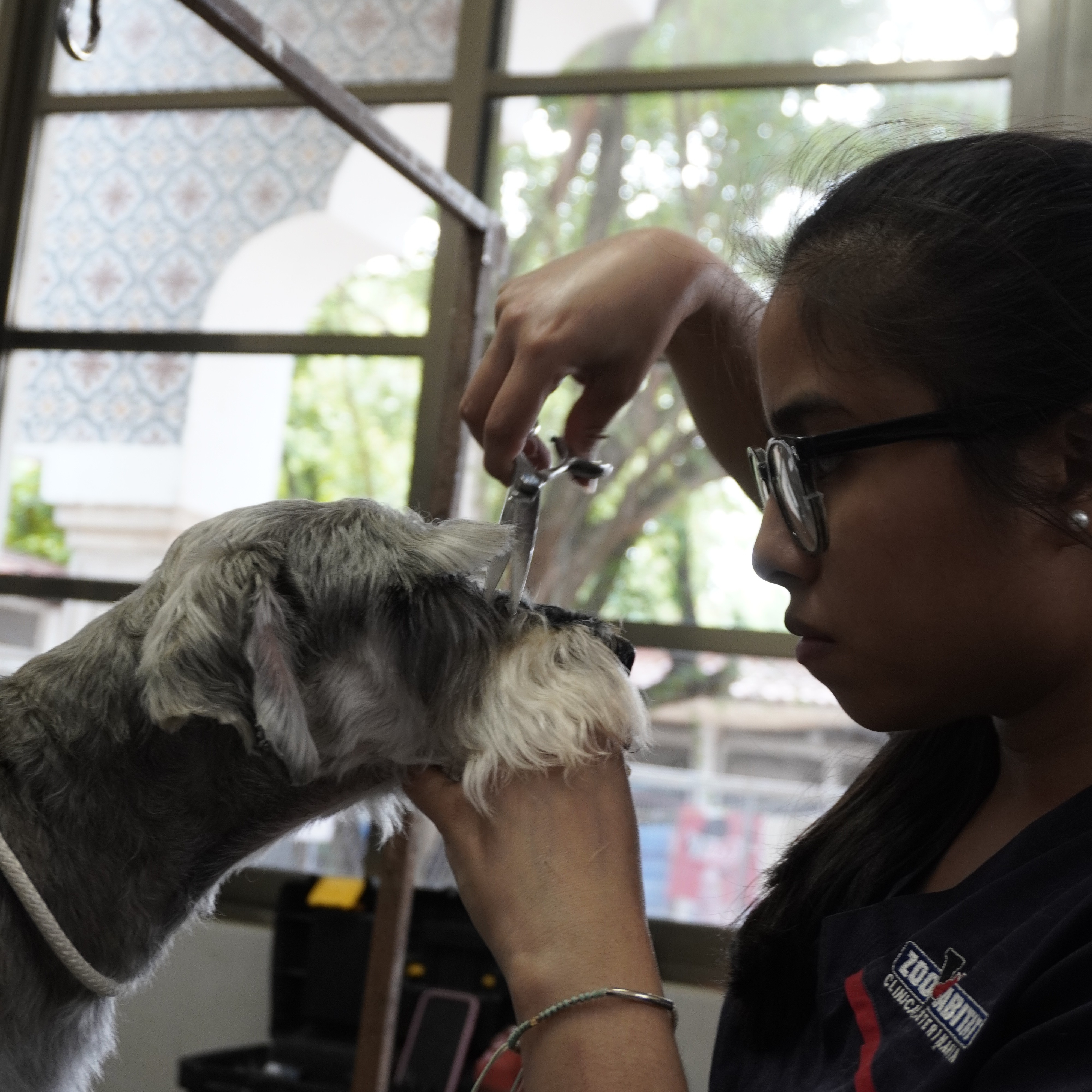 Veterinaria Zoohabitat bienvenida